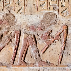 Egyptian relief of men working a field